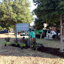 photo of landscapers