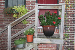 photo of flower pots